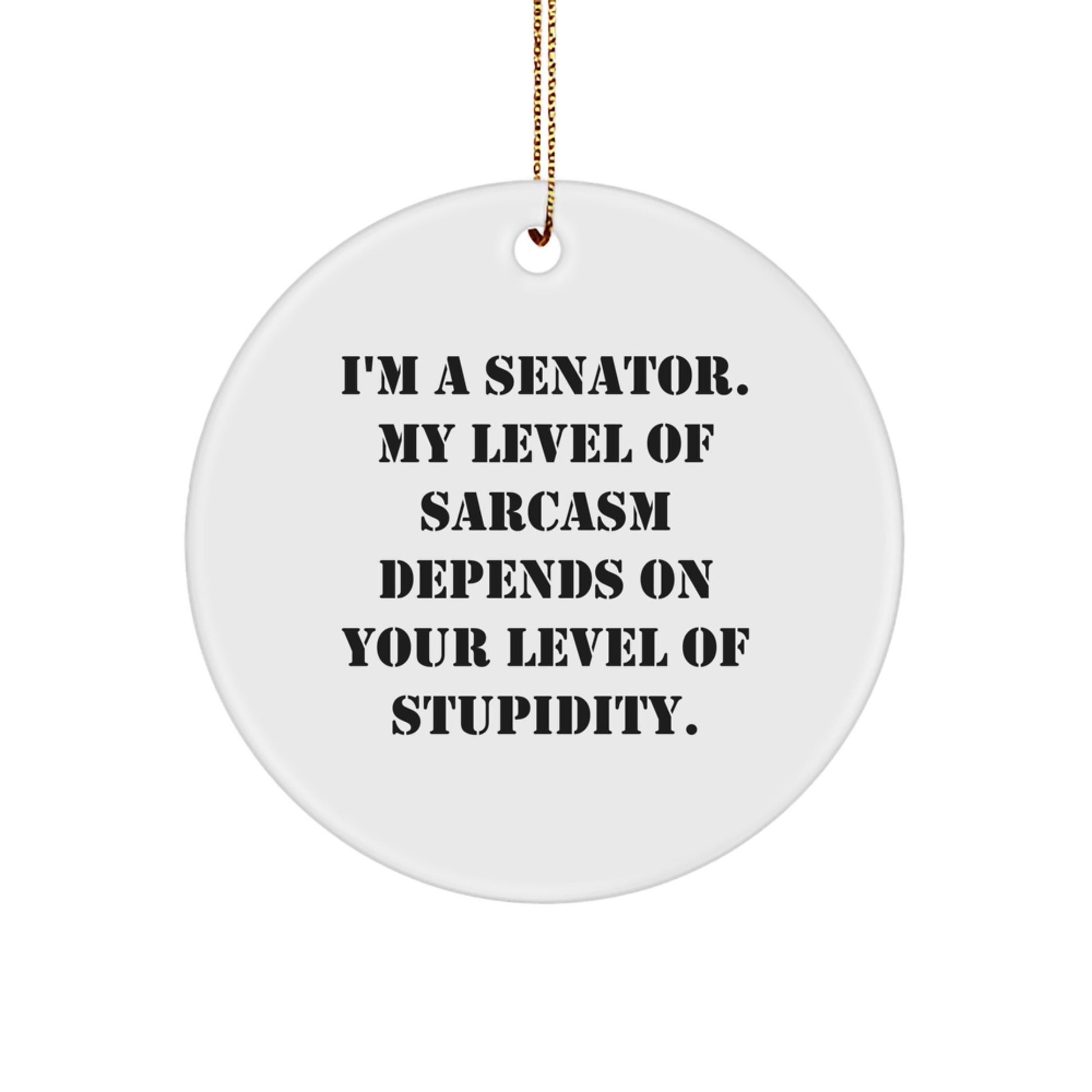 Funny Senator Gifts for Christmas - 'I'm A Senator. My Level Of Sarcasm Depends On Your Level Of Stupidity.' Circle Ornament, Gifts from Friends to Family - Image 1