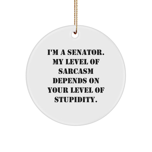 Funny Senator Gifts for Christmas - 'I'm A Senator. My Level Of Sarcasm Depends On Your Level Of Stupidity.' Circle Ornament, Gifts from Friends to Family - Image 1