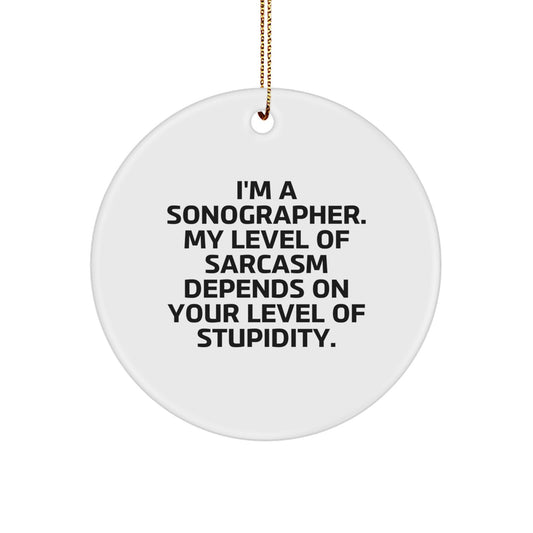 Funny Sonographer Gifts from Friends, Christmas Circle Ornament with Sarcasm Quote, Gifts for Sonographer Women - Image 1