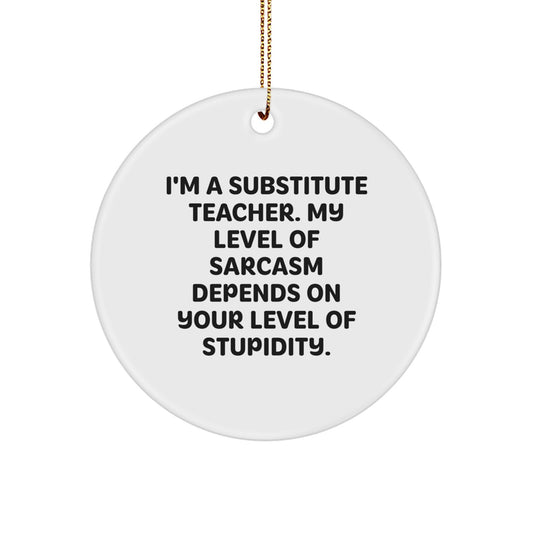 Funny Substitute Teacher Gifts from Friends for Christmas Unique Circle Ornament, Humorous Quote 'I'm A Substitute Teacher. My Level Of Sarcasm Depends On Your Level Of Stupidity.' - Image 1
