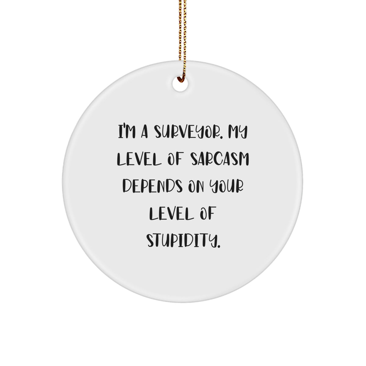 Sassy Surveyor Circle Ornament for Friends Novelty Christmas Unique Gift - Image 1