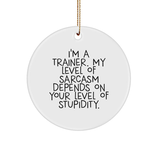 Funny Trainer Gifts from Friends - Christmas Unique Gifts for Trainer Men with 'I'm A Trainer, My Level Of Sarcasm Depends On Your Level Of Stupidity' Quote - Circle Ornament - Image 1
