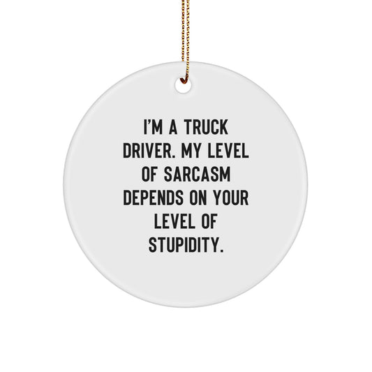 Funny Truck Driver Gifts, Circle Ornament, Christmas Unique Presents for Men, I'm A Truck Driver. My Level Of Sarcasm Depends On Your Level Of Stupidity. Gifts from Friends, Family, Coworkers - Image 1