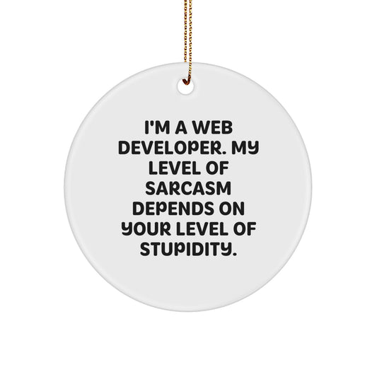 Funny Web Developer Gifts - I'm A Web Developer. My Level Of Sarcasm Depends On Your Level Of Stupidity. Circle Ornament for Men, Women, Friends, Coworkers, and Family at Christmas - Image 1