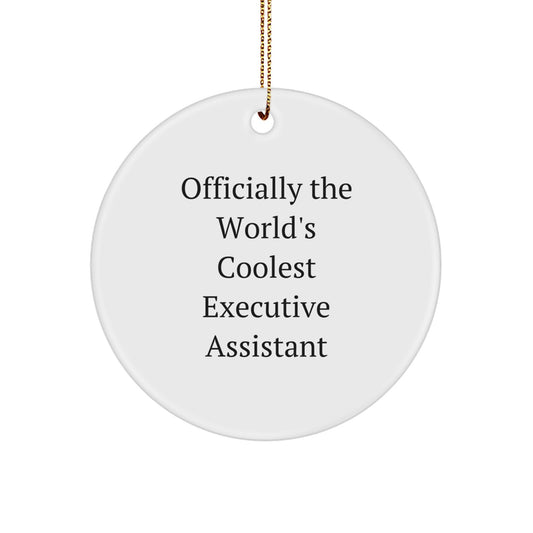 Christmas Unique Gift Executive Assistant Circle Ornament Cool for Teens - Image 1