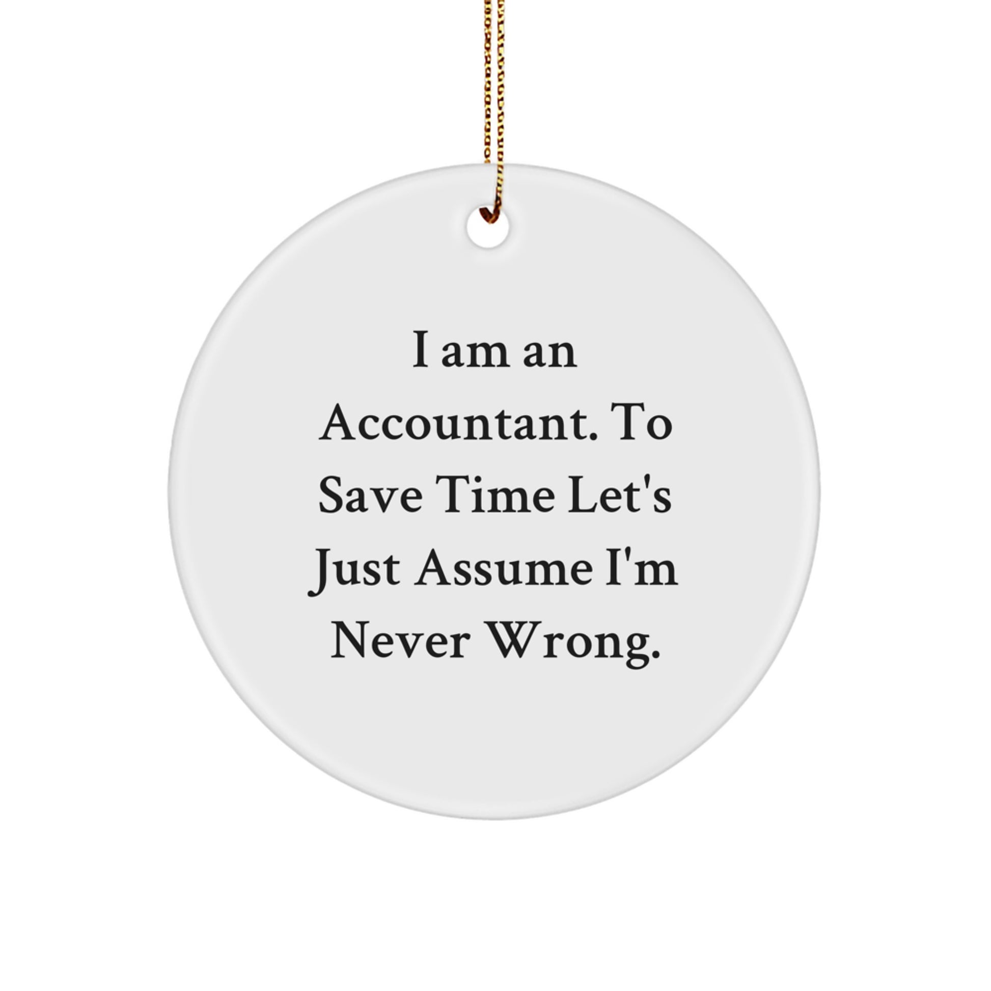 Funny Accountant Gifts, Christmas Unique Ornaments, 'I Am An Accountant' Quote Circle Ornament for Women, Gifts from Men, Coworkers, Family to Accountants, Friends - Image 1