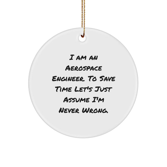 Aerospace Engineer Gifts, Funny Quote Circle Ornament, Christmas Unique Presents from Friends to Colleagues, Fun Decorations for Men Women - Image 1