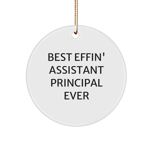Family Assistant Principal Ornament Gift Best Effin' Principal Ever - Image 1