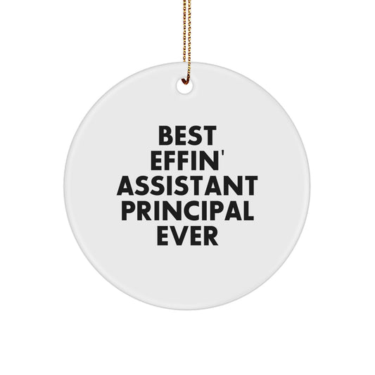 Assistant Principal Circle Ornament Gift Best Effin' for Coworkers - Image 1