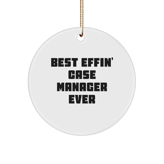 Playful Novelty Christmas Unique Gift for Friends Case Manager Ornament - Image 1