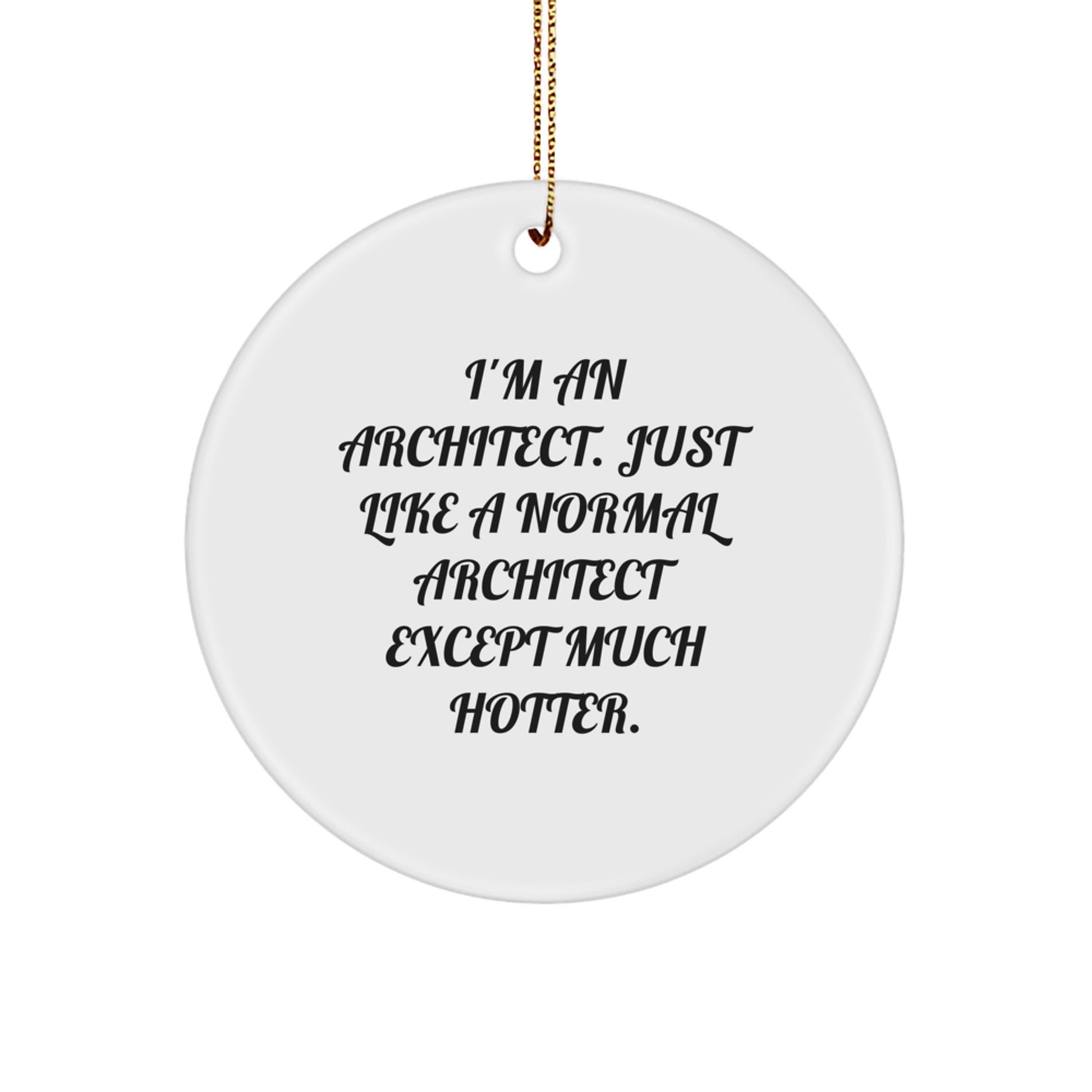 Funny Architect Gifts for Men, Unique Circle Ornament Christmas Unique Gifts from Friends to Architect, Just Like A Normal Architect Except Much Hotter. - Image 1