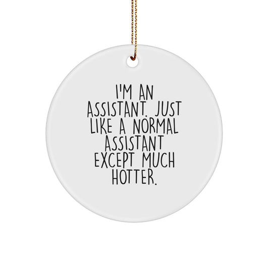 Funny Assistant Christmas Circle Ornament Gifts from Friends for Coworkers Office Decor - Image 1