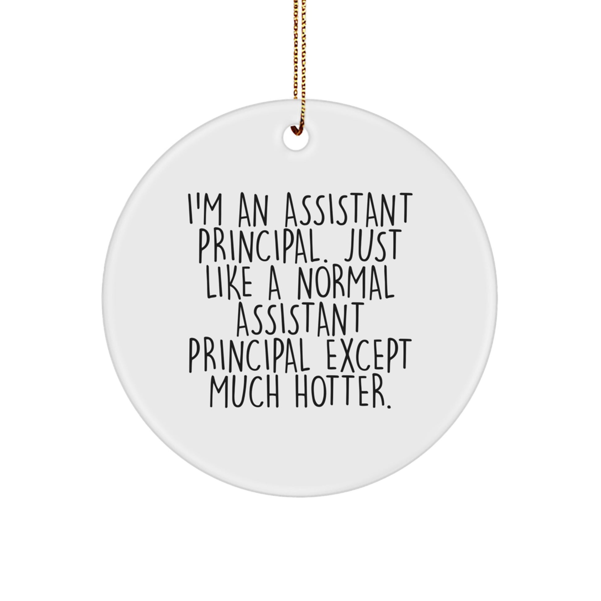 Funny Assistant Principal Gifts for Men, Women, Coworkers, Friends - 'I'm An Assistant Principal... Except Much Hotter' Circle Ornament, White, Christmas Unique Gifts - Image 1