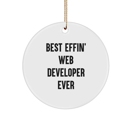 Best Effin' Web Developer Ever Circle Ornament, Funny Web Developer Gifts from Friends to Web Developers, Perfect for Christmas - Image 1