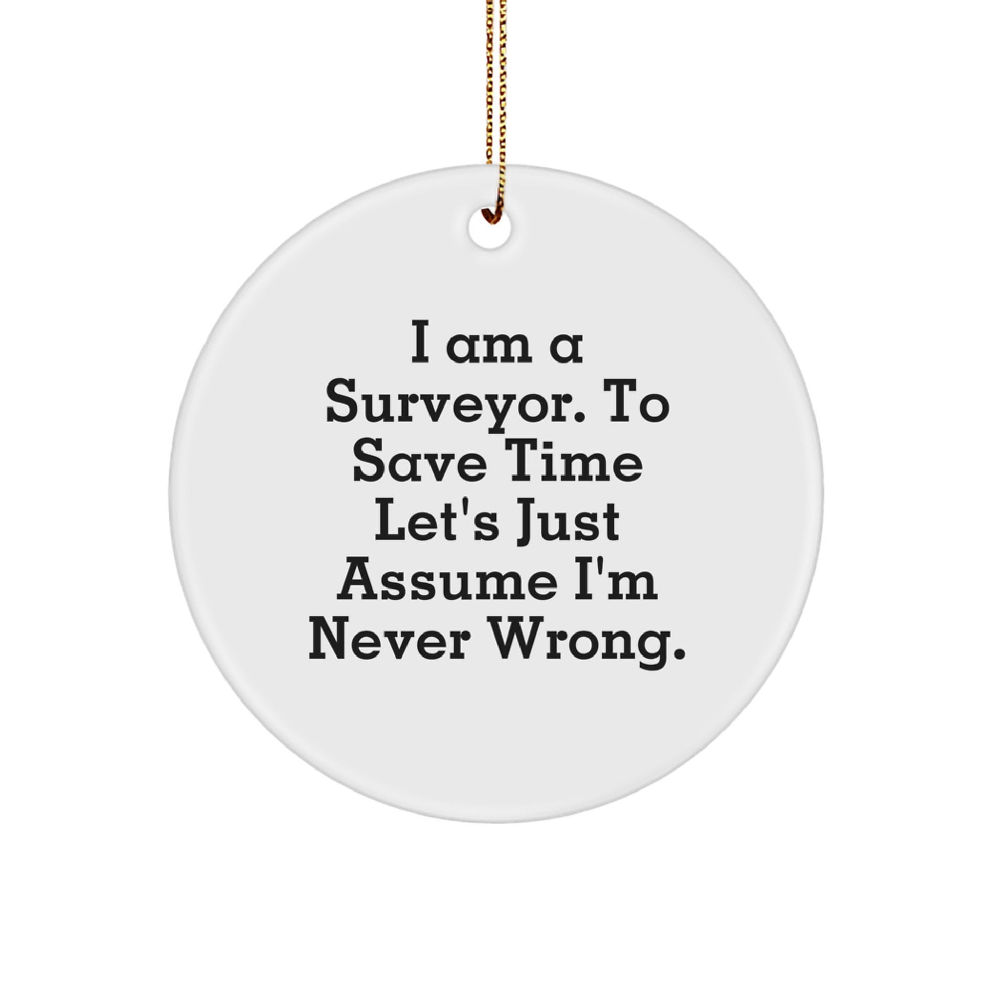 Funny Surveyor Gifts from Friends for Surveyor Men - Unique Circle Ornament Christmas Unique Gifts - Image 1