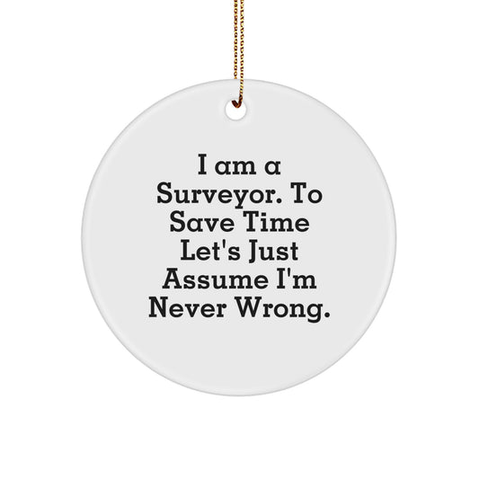 Funny Surveyor Gifts from Friends for Surveyor Men - Unique Circle Ornament Christmas Unique Gifts - Image 1