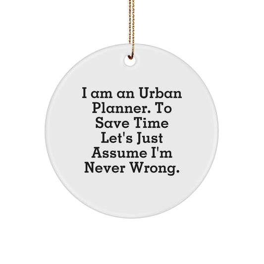 Funny Urban Planner Christmas Unique Gifts from Friends to Family - Image 1