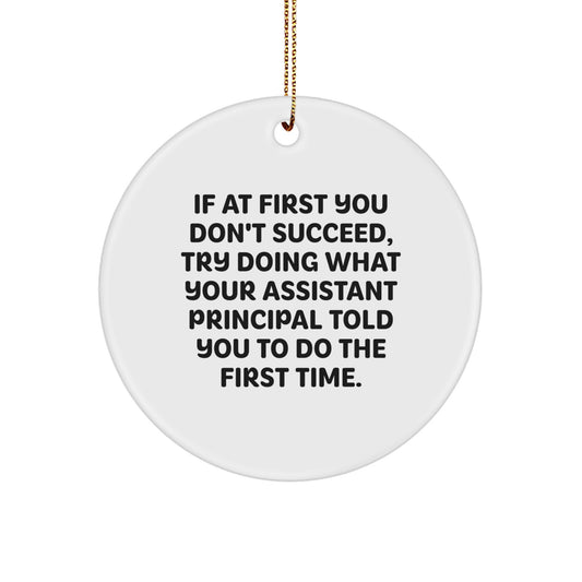 Funny Assistant Principal Gifts from Friends for Christmas Circle Ornaments - If At First You Don't Succeed, Try Doing What Your Assistant Principal Told You To Do The First Time. - Image 1