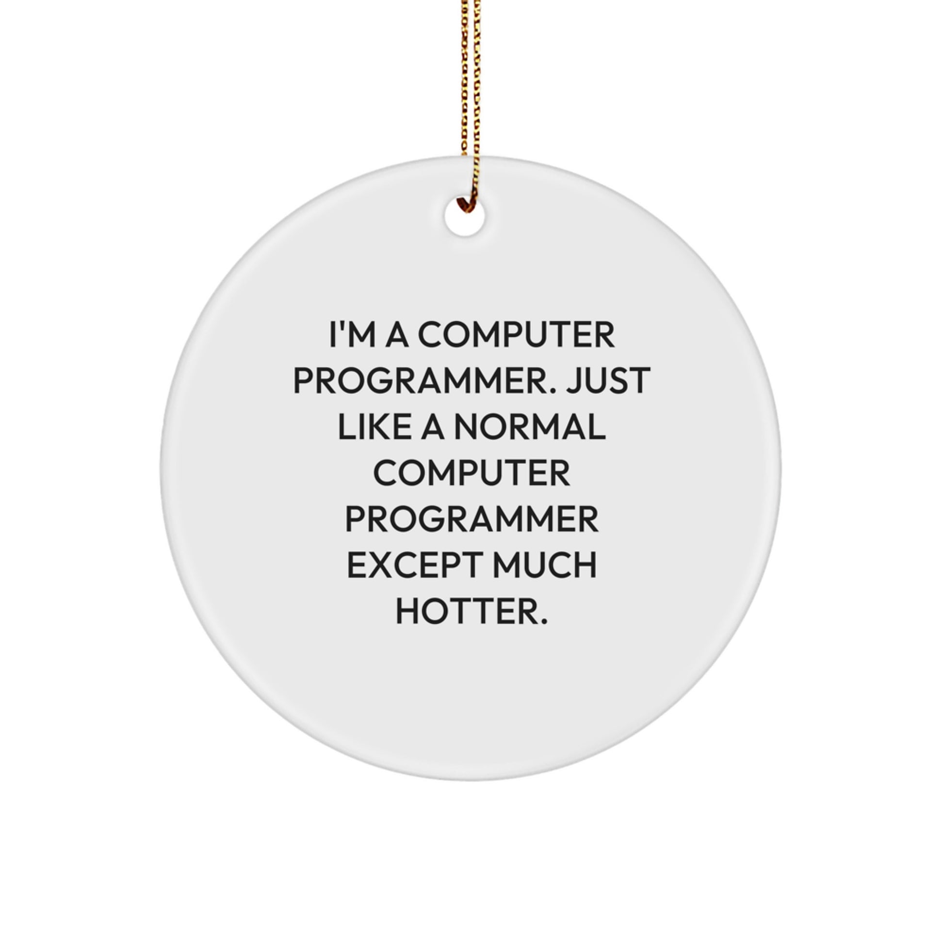 Computer Programmer Christmas Circle Ornament - Funny Humor Gift for Friends Family Men Women Coworkers - Image 1