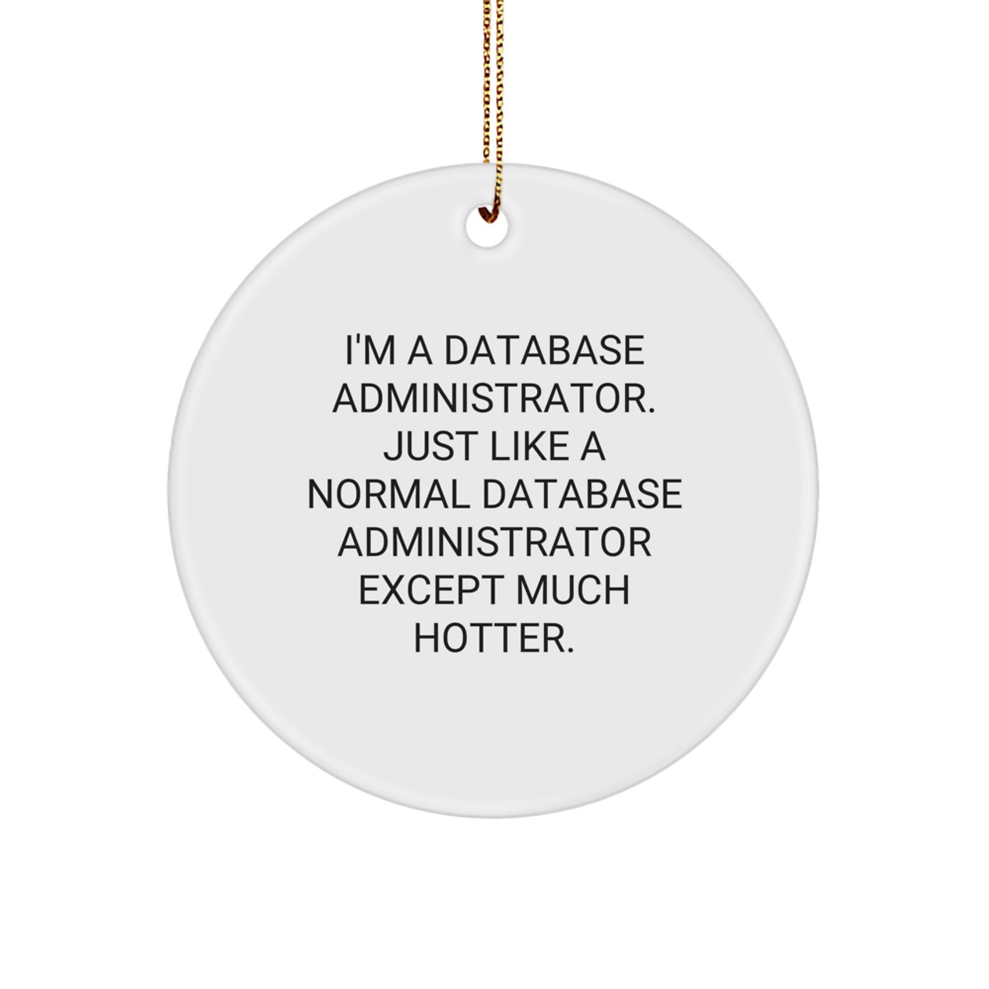 Funny Gifts for Database Administrator, I'm A Database Administrator Except Hotter Circle Ornament, Christmas Unique Presents for Men Database Admins - Image 1