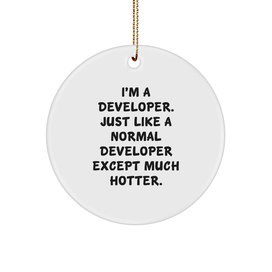 Funny Developer Gifts for Men, Circle Ornament with Hotter Quote - Perfect Unique Christmas Unique Gifts from Friends - Image 1