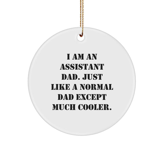 Assistant Dad Keepsake Christmas Ornament for Him Much Cooler Gift - Image 1
