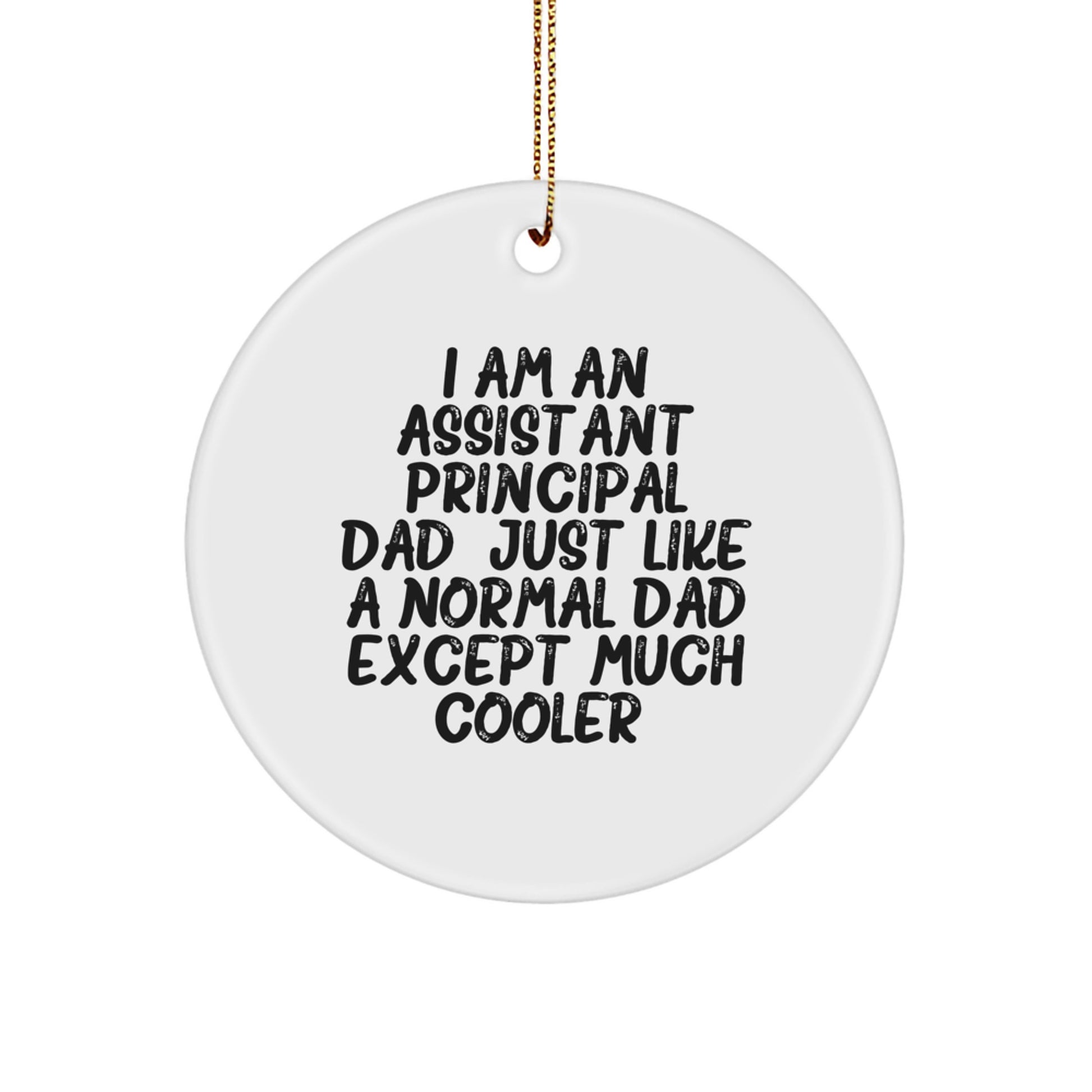 Assistant Principal Christmas Ornament Idea for Coworkers Surprise Gift - Image 1