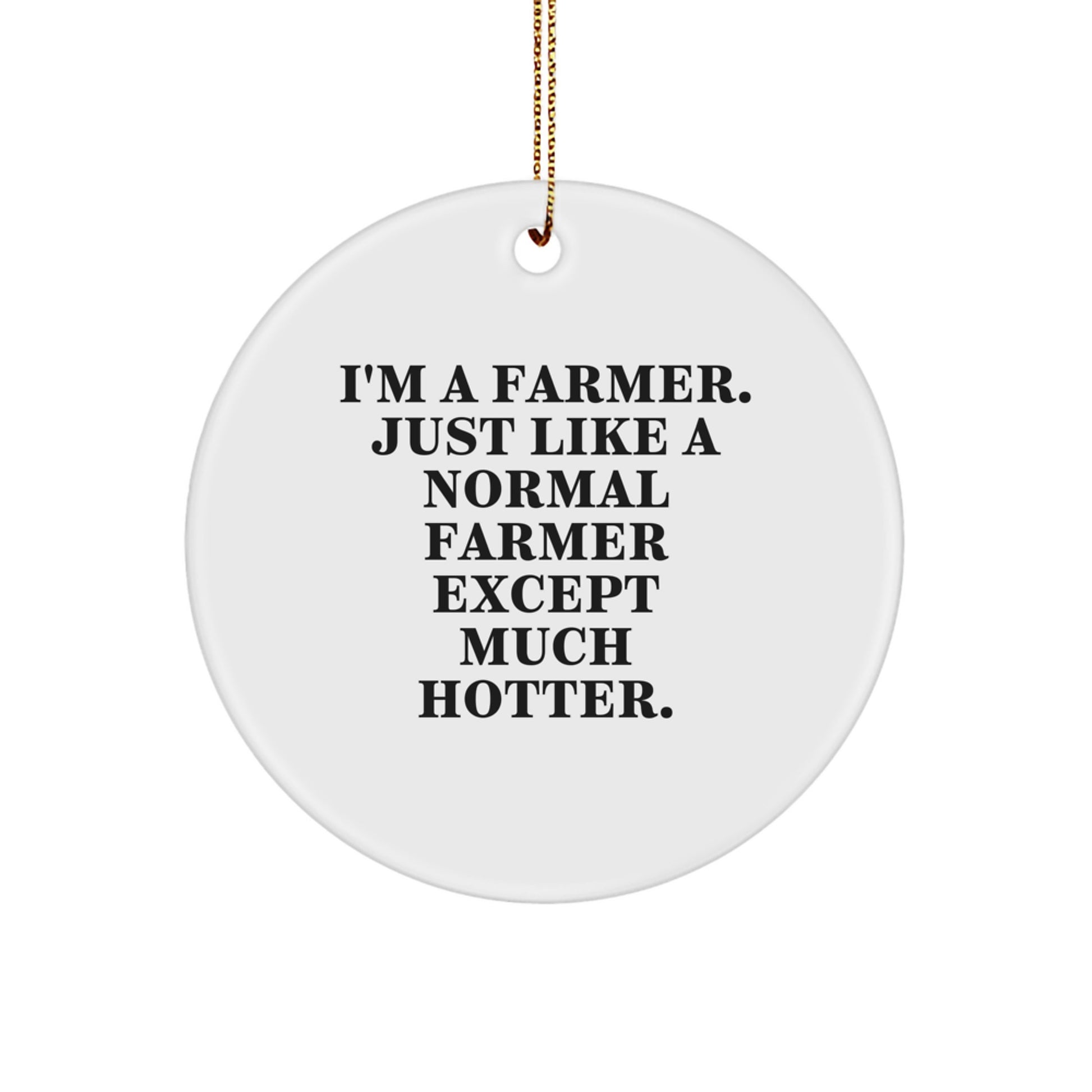 Funny Farmer Gifts from Friends - 'I'm A Farmer. Just Like A Normal Farmer Except Much Hotter.' Christmas Circle Ornament for Men Women - Image 1