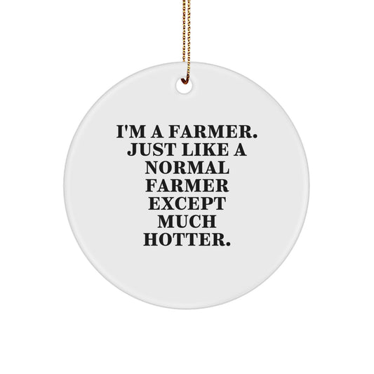 Funny Farmer Gifts from Friends - 'I'm A Farmer. Just Like A Normal Farmer Except Much Hotter.' Christmas Circle Ornament for Men Women - Image 1