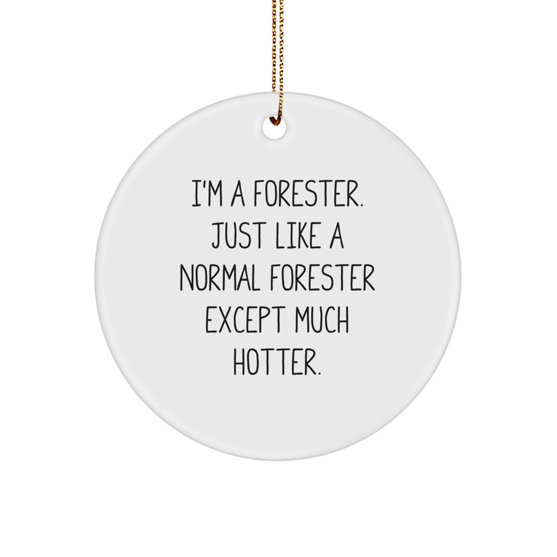 Forester Christmas Unique Gifts from Friends and Family - 'I'm A Forester. Just Like A Normal Forester Except Much Hotter.' Funny Circle Ornament - Image 1