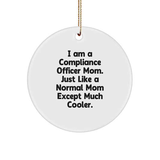 Compliance Officer Keepsake Christmas Ornament for Him Gift - Image 1