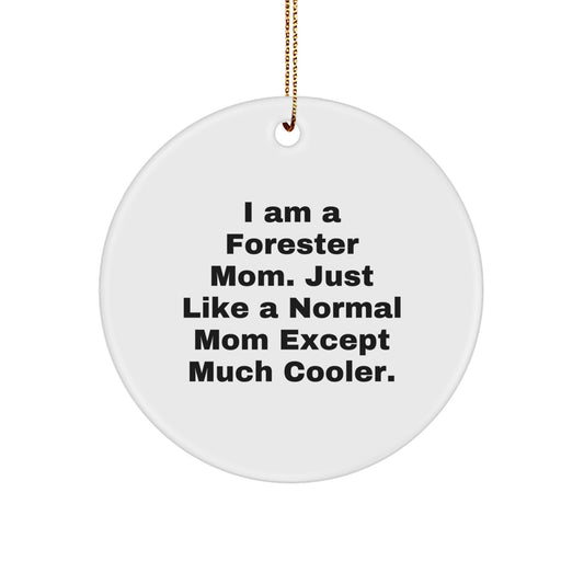 Forester Circle Ornament for Coworkers Idea Christmas Gift - Image 1