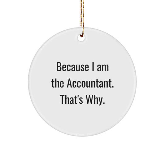 Accountant Keepsake Christmas Ornament for Him Gift - Image 1
