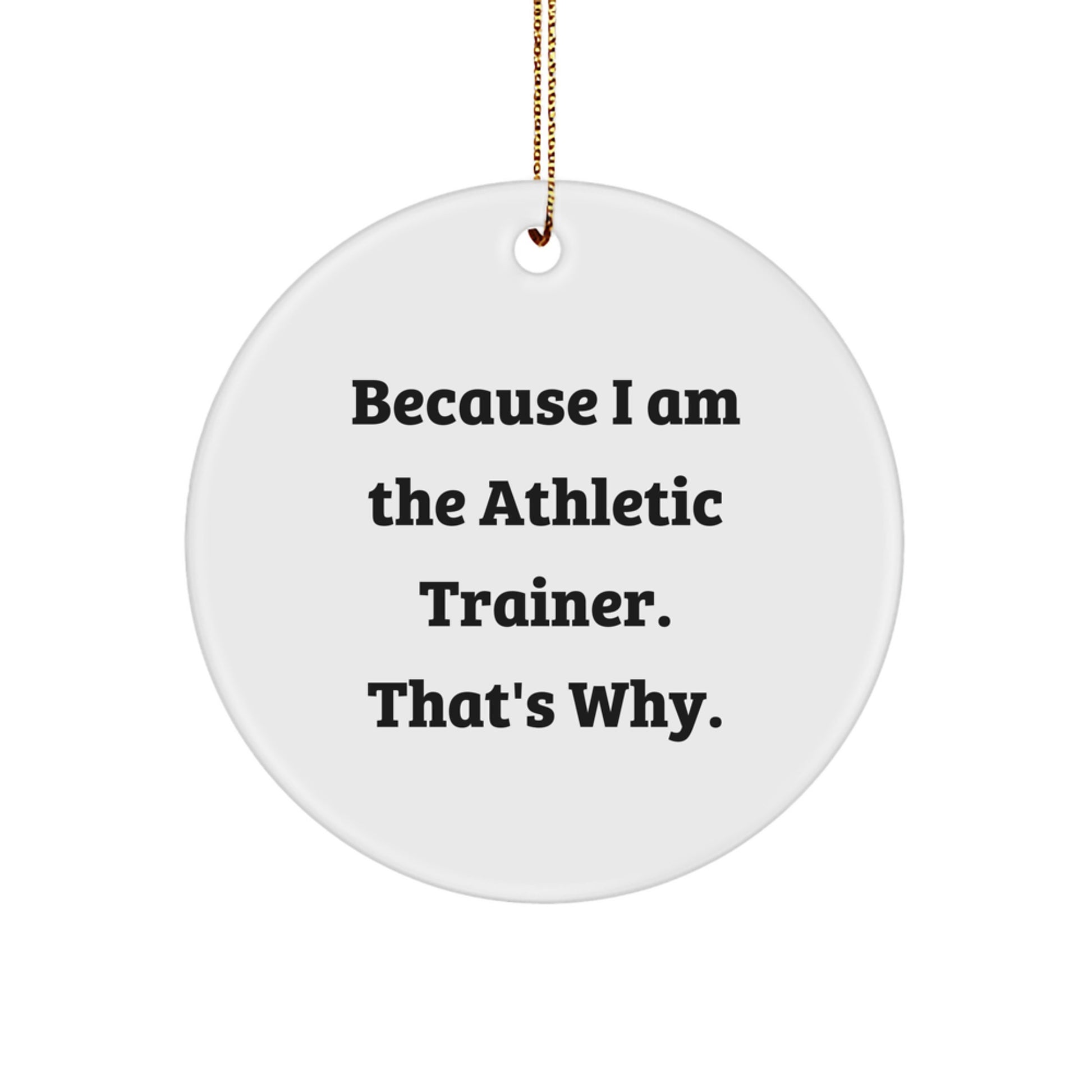 Athletic Trainer Treasure Christmas Ornament for Family Gift - Image 1