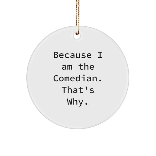 Christmas Ornament Gift for Coworkers - Humorous Comedian Idea - Because - Image 1