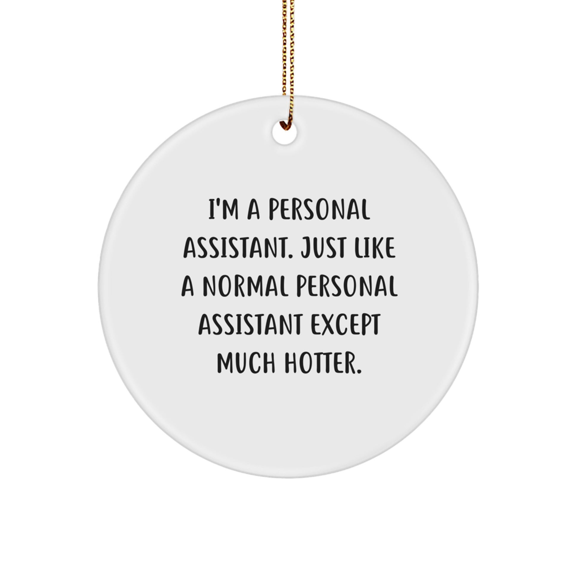 Funny Personal Assistant Gifts, I'm A Personal Assistant Circle Ornament for Christmas Unique Gifts from Friends to Family - Image 1
