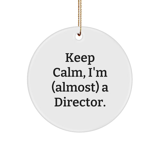 Playful Director Keepsake Novelty Christmas Ornament for Friends Gift - Image 1