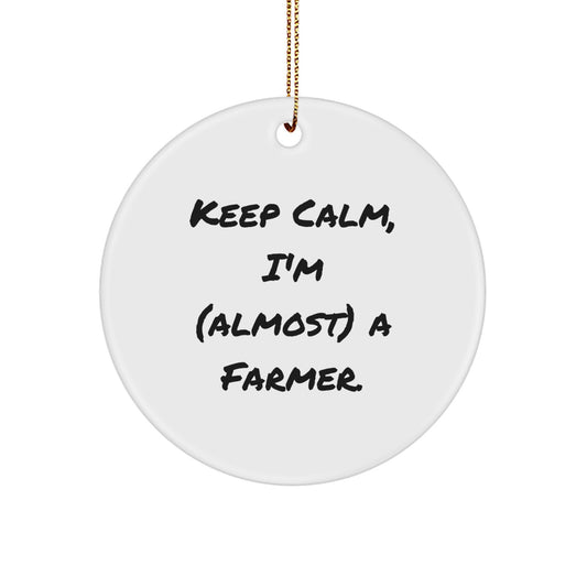 Christmas Gift for Her Farmer Keepsake Ornament Present - Image 1