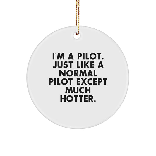 Funny Pilot Gifts for Men, Pilot Ornaments for Christmas Unique Gifts from Friends - Image 1