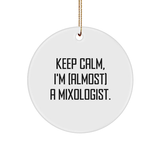 Mixologist Christmas Unique Gifts from Friends - Keep Calm, I'm (almost) A Mixologist. - Funny Circle Ornament for Men, Women, Coworkers, Family - Image 1