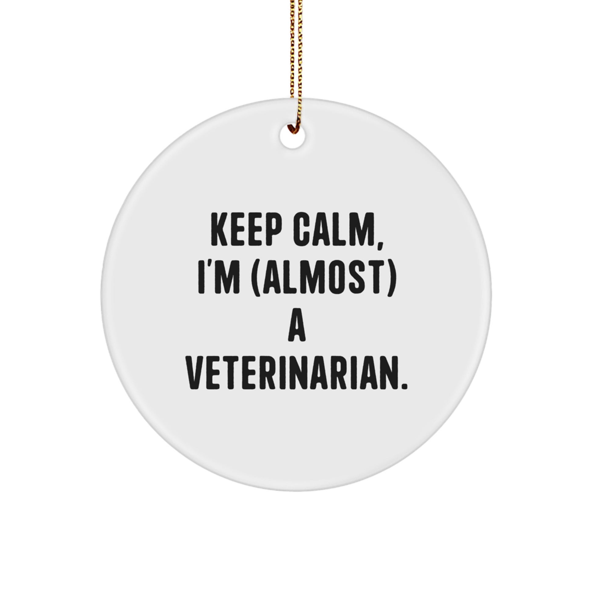 Funny Veterinarian Gifts for Friends, Cute Circle Ornament with 'Keep Calm, I'm (almost) A Veterinarian' Quote, Christmas Unique Gift - Image 1