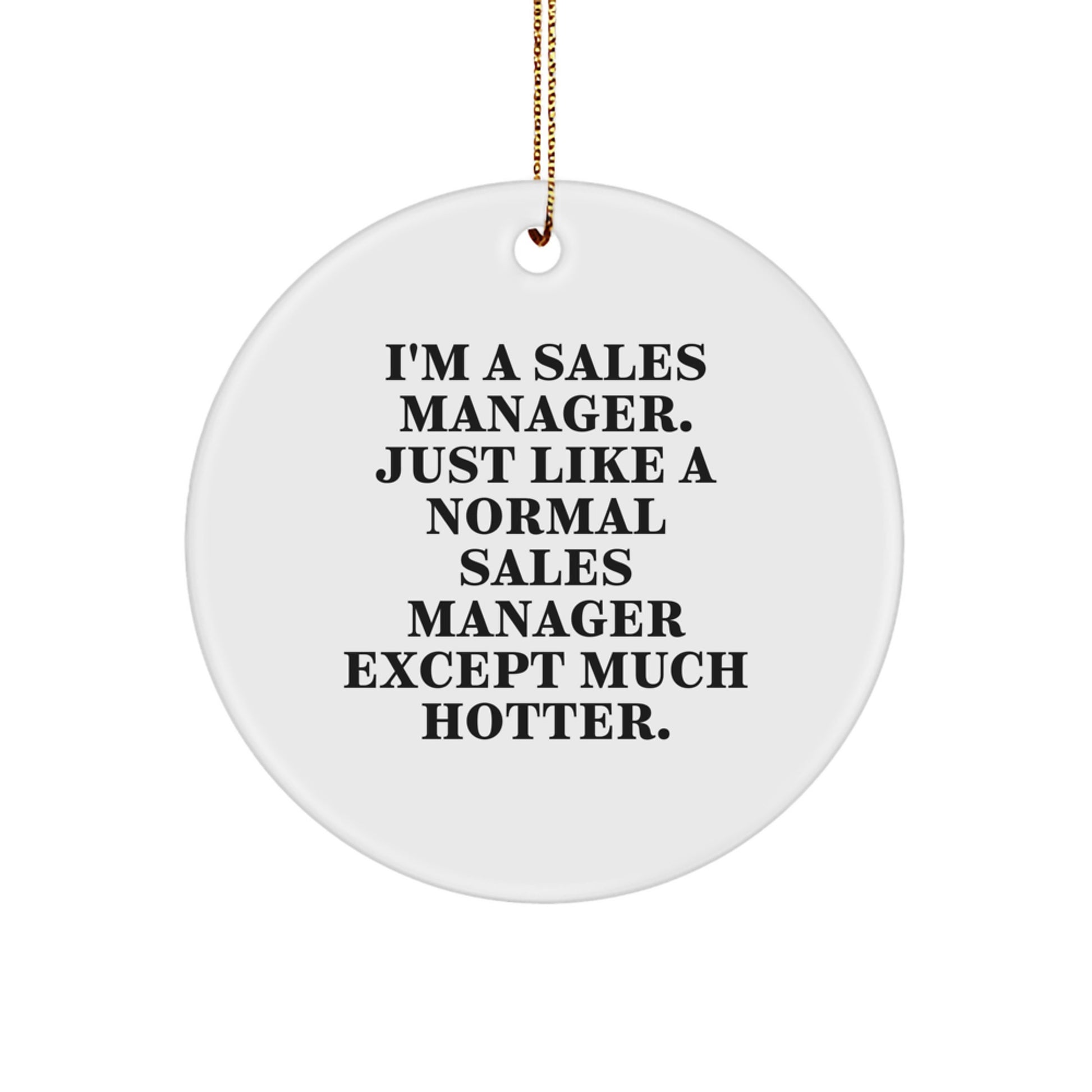 Sales Manager Gifts for Men, Funny Circle Ornament with 'I'm A Sales Manager. Just Like A Normal Sales Manager Except Much Hotter.' Quote - Christmas Unique Gifts from Friends, Coworkers, or Family - Image 1