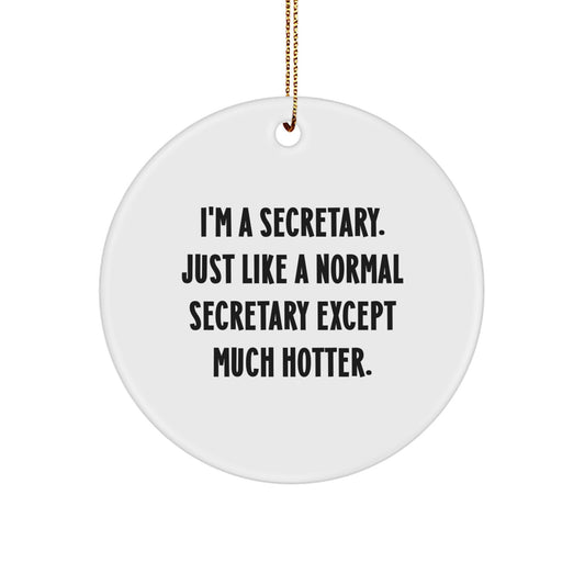 Fun Secretary Christmas Circle Ornament Gifts for Her - 'I'm A Secretary' Funny Office Decoration - Image 1