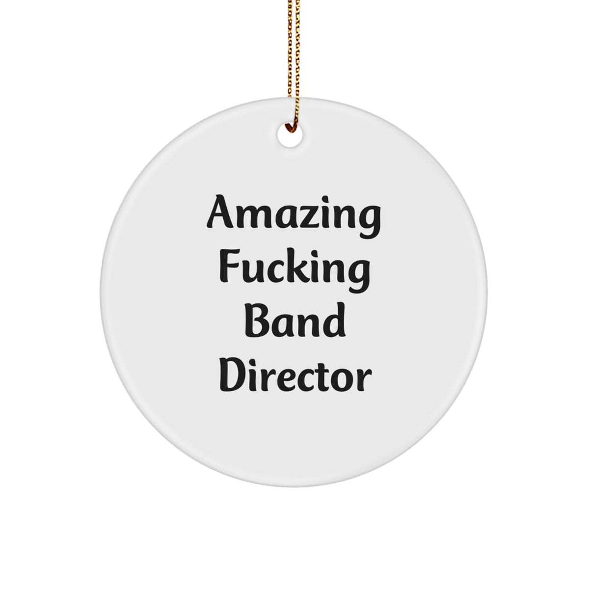 Band Director Circle Ornament Christmas Gift for Coworkers Idea Holiday - Image 1