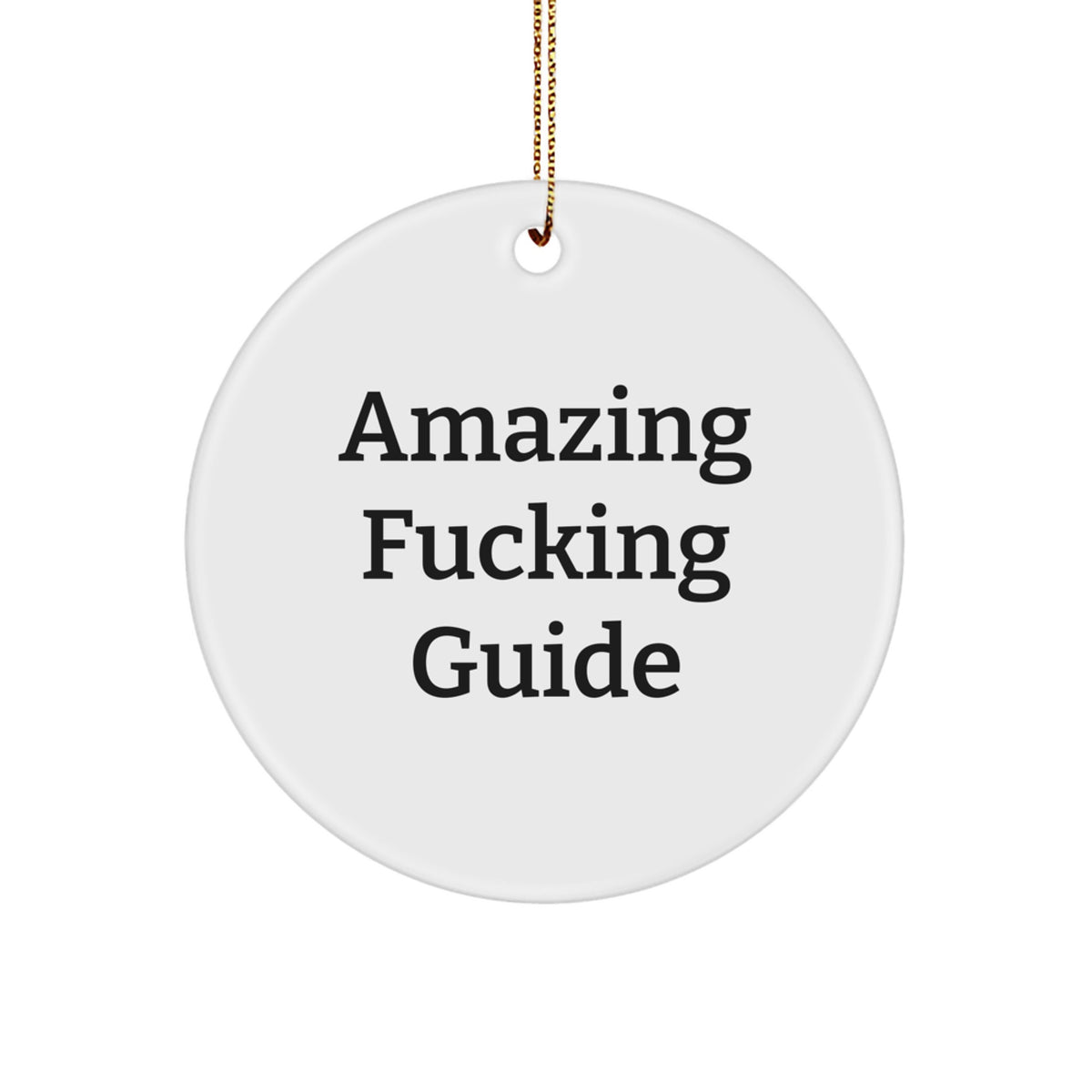 Guide Christmas Ornament Keepsake Amazing Guide Gift for Him - Image 1