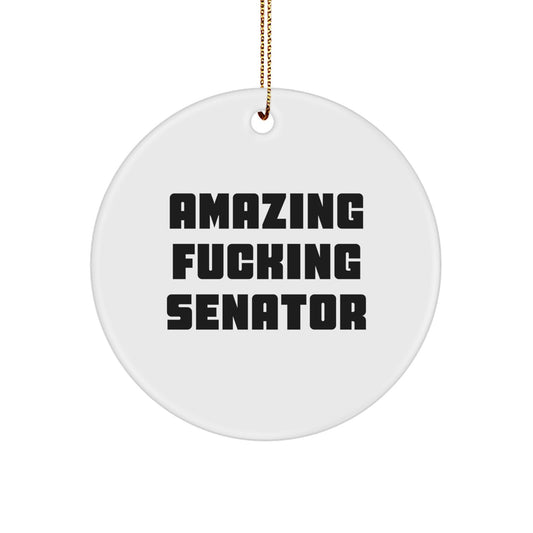 Bold Senator Keepsake Christmas Ornament for Him Gift - Image 1