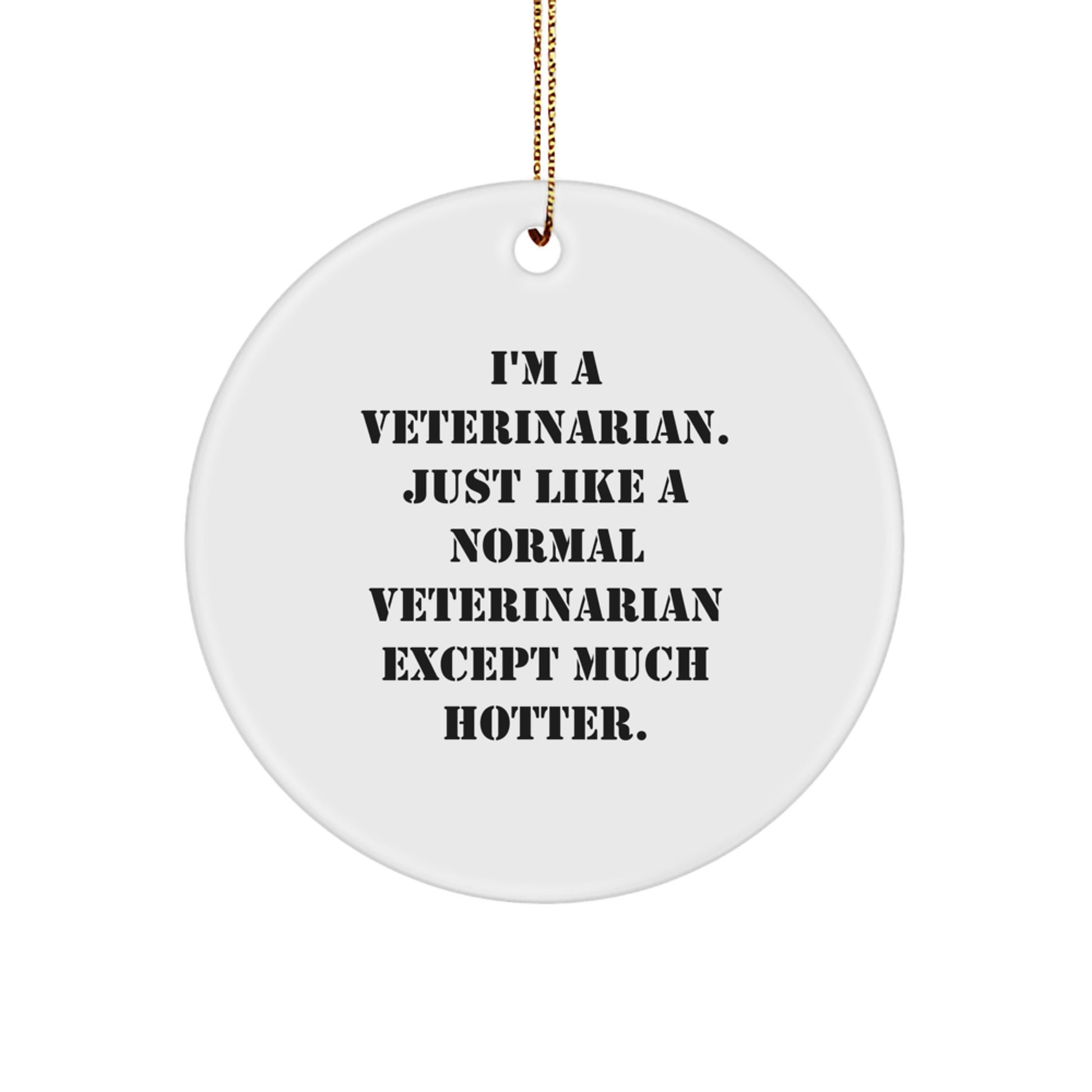 Funny Veterinarian Gifts from Friends, Unique Circle Ornament for Veterinarian Men, Women, or Coworkers - 'I'm A Veterinarian. Just Like A Normal Veterinarian Except Much Hotter.' - Image 1