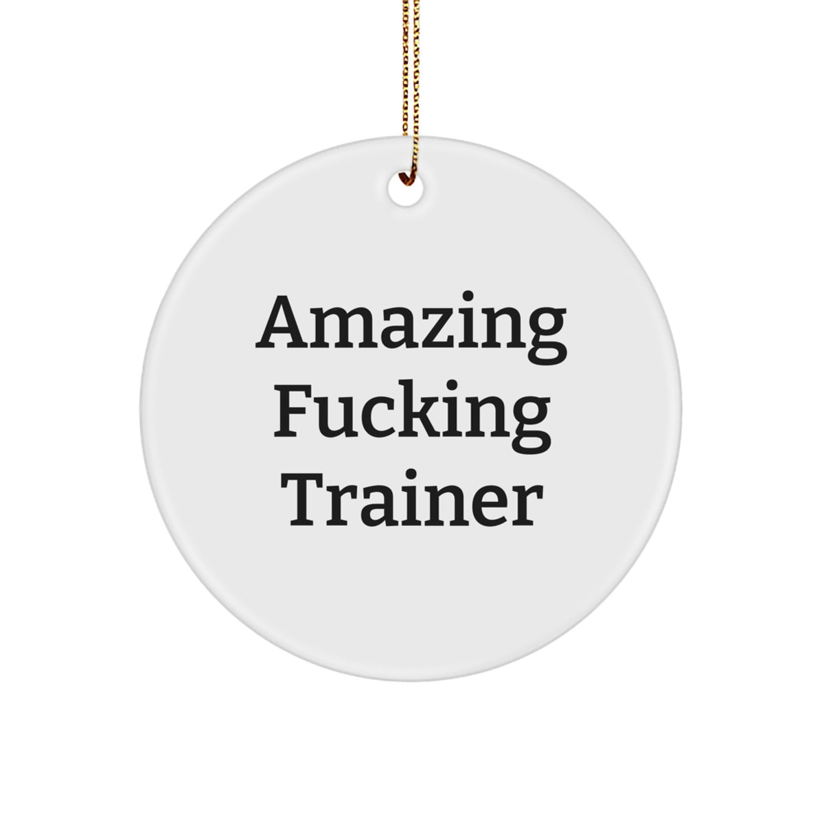 Circle Ornament for Coworkers – Amazing Fucking Trainer Christmas Gift - Image 1