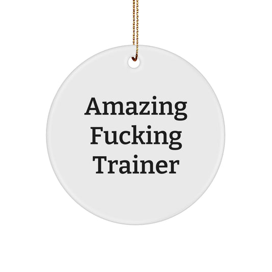 Circle Ornament for Coworkers – Amazing Fucking Trainer Christmas Gift - Image 1