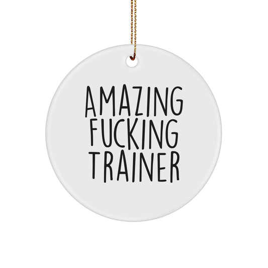 Christmas Ornament Gift for Family - Amazing Fucking Trainer Holiday - Image 1